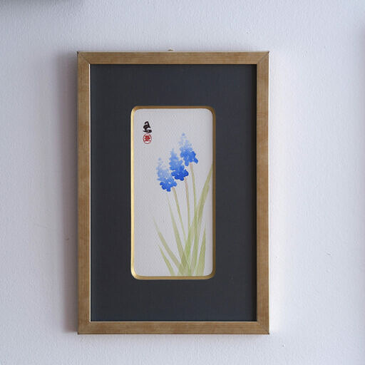 Szafirek (Muscari)
