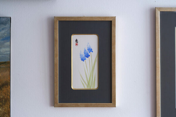 Szafirek (Muscari)