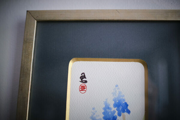 Szafirek (Muscari) - obrazek 3