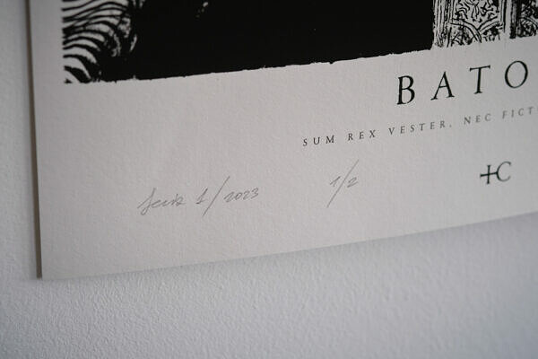 Batory - obrazek 3
