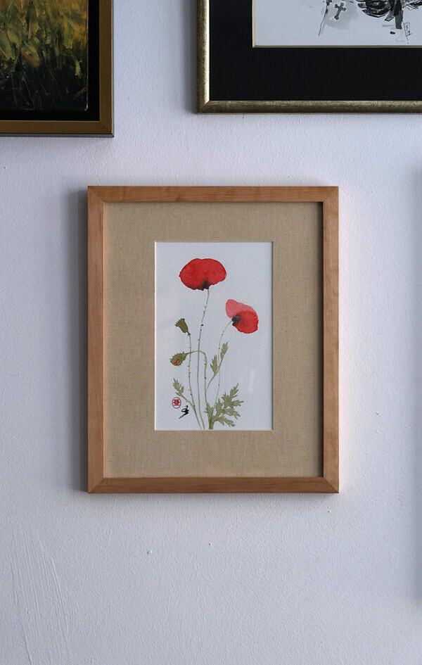 Mak polny (Papaver rhoeas)
