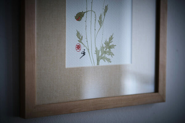 Mak polny (Papaver rhoeas) - obrazek 2