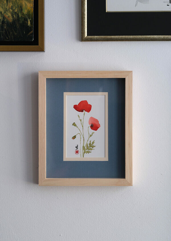 Mak polny 2 (Papaver rhoeas)
