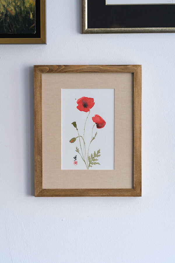 Mak polny i muszka (Papaver rhoeas)