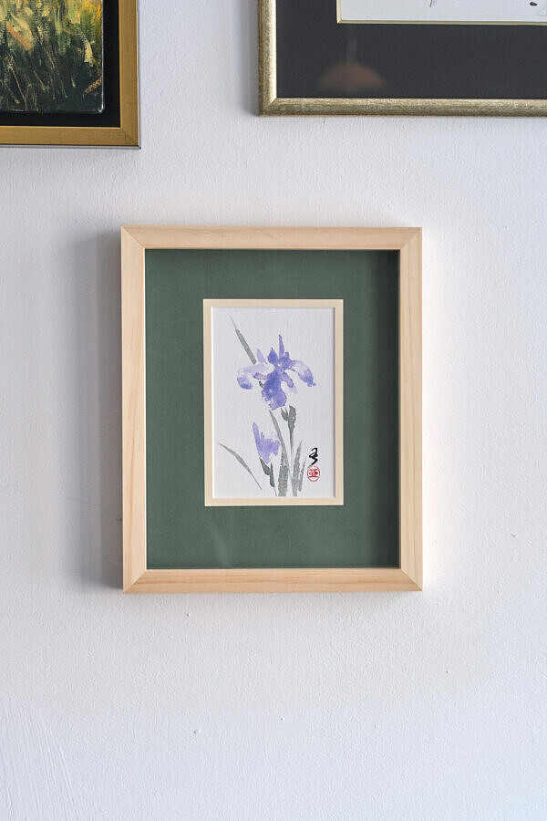 Irys (Iris sibirica)