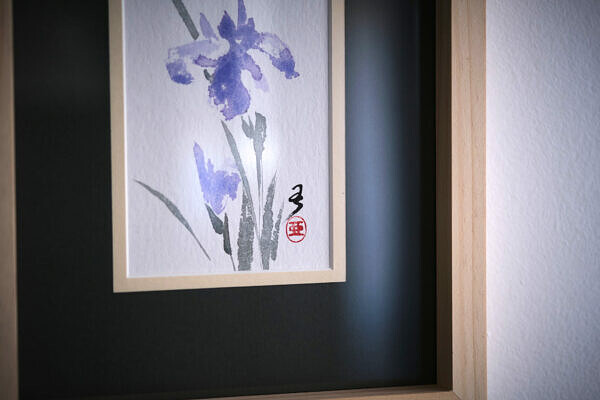 Irys (Iris sibirica) - obrazek 2
