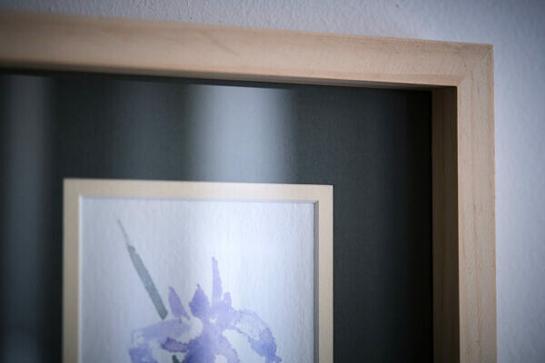 Irys (Iris sibirica) - obrazek 3