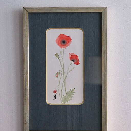 Mak polny 3 (Papaver rhoeas)