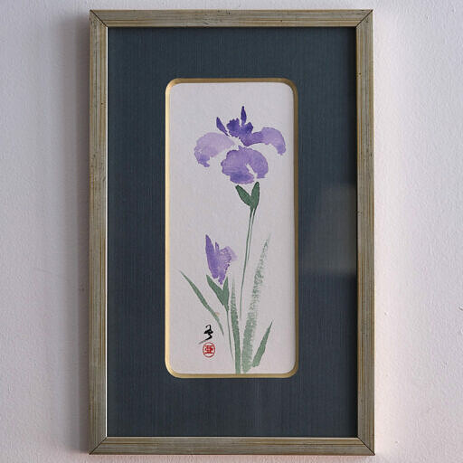 Irys 2 (Iris sibirica)
