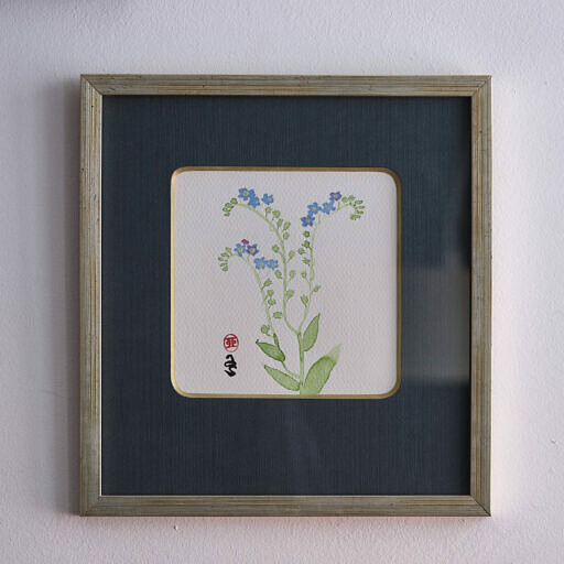Niezapominajka 2 (Myosotis)