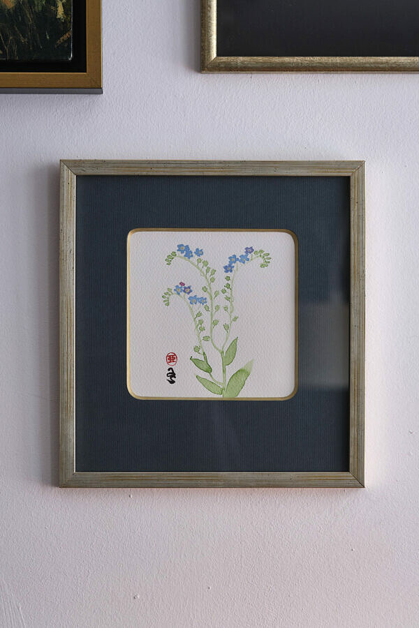 Niezapominajka 2 (Myosotis)