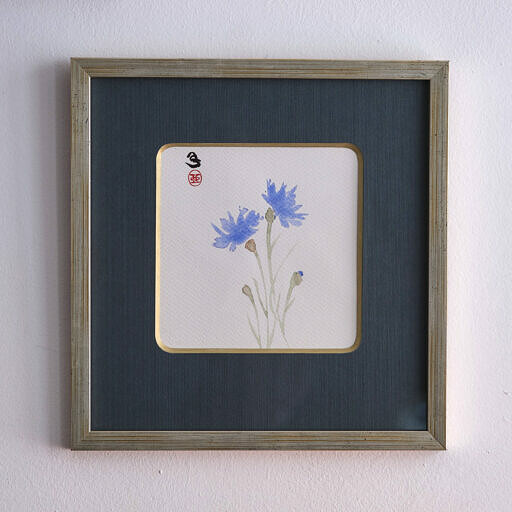 Chaber bławatek 3 (Centaurea cyanus)
